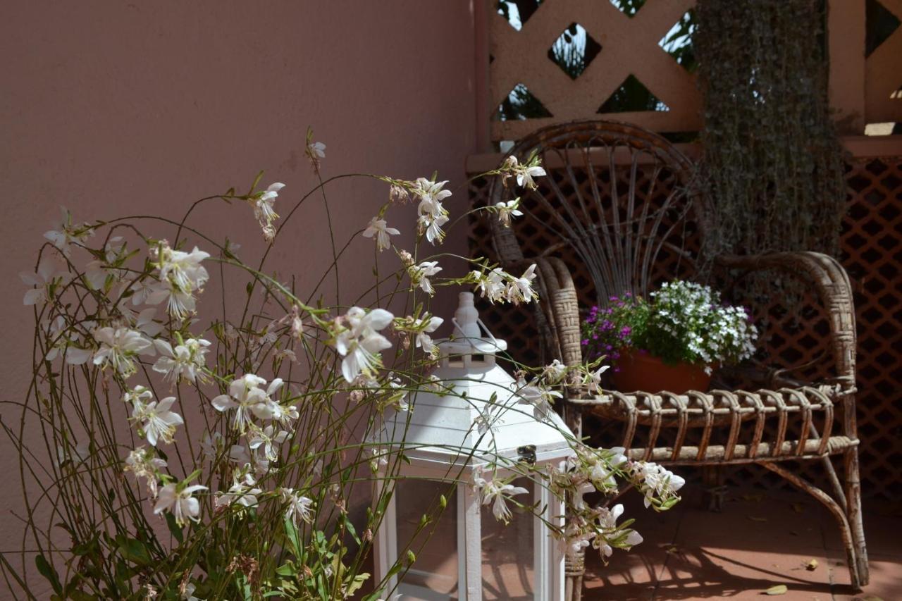 Into The Wild Green B&B Alghero Exterior foto